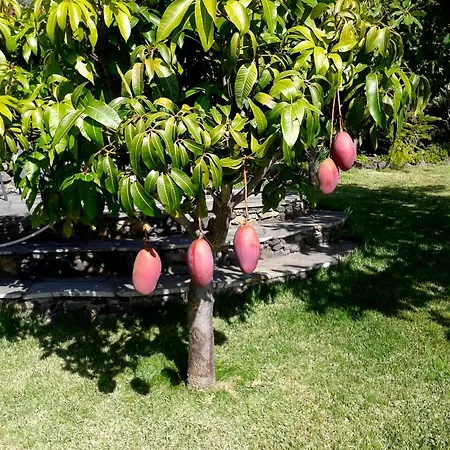 Feriehus Casa Azotea Tijarafe