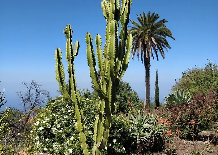 Casa Azotea Feriehus *