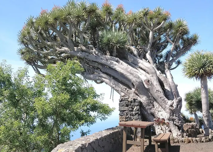 Casa Azotea Feriehus